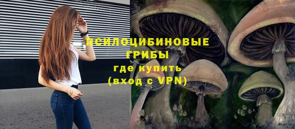 индика Ступино