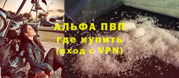молекула духа Снежногорск