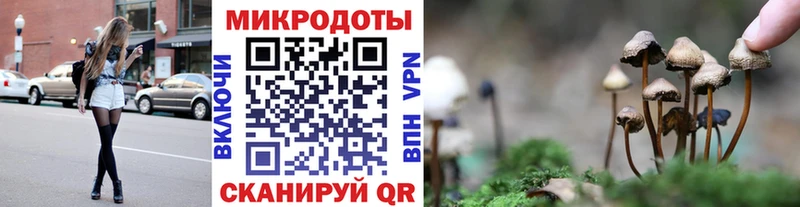 купить наркотики сайты  Пикалёво  Псилоцибиновые грибы MAGIC MUSHROOMS 